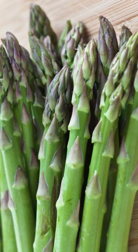 Asperge verte