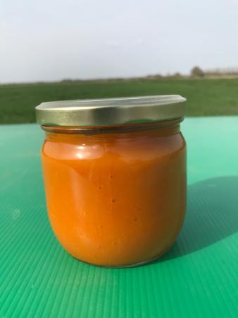 Purée de Potimarron orange 340g