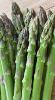 Asperge verte