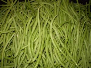 Haricots 